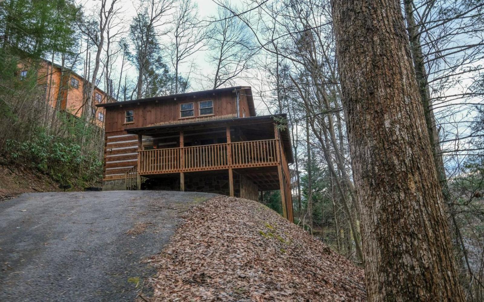 Viva La Vino Villa Gatlinburg Buitenkant foto
